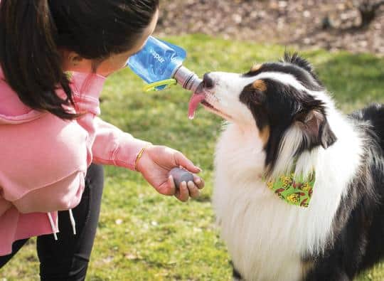 Vapur Ez Lick Portable Dog Water Bottle 700ml - Element - Water - Longshot Tactical