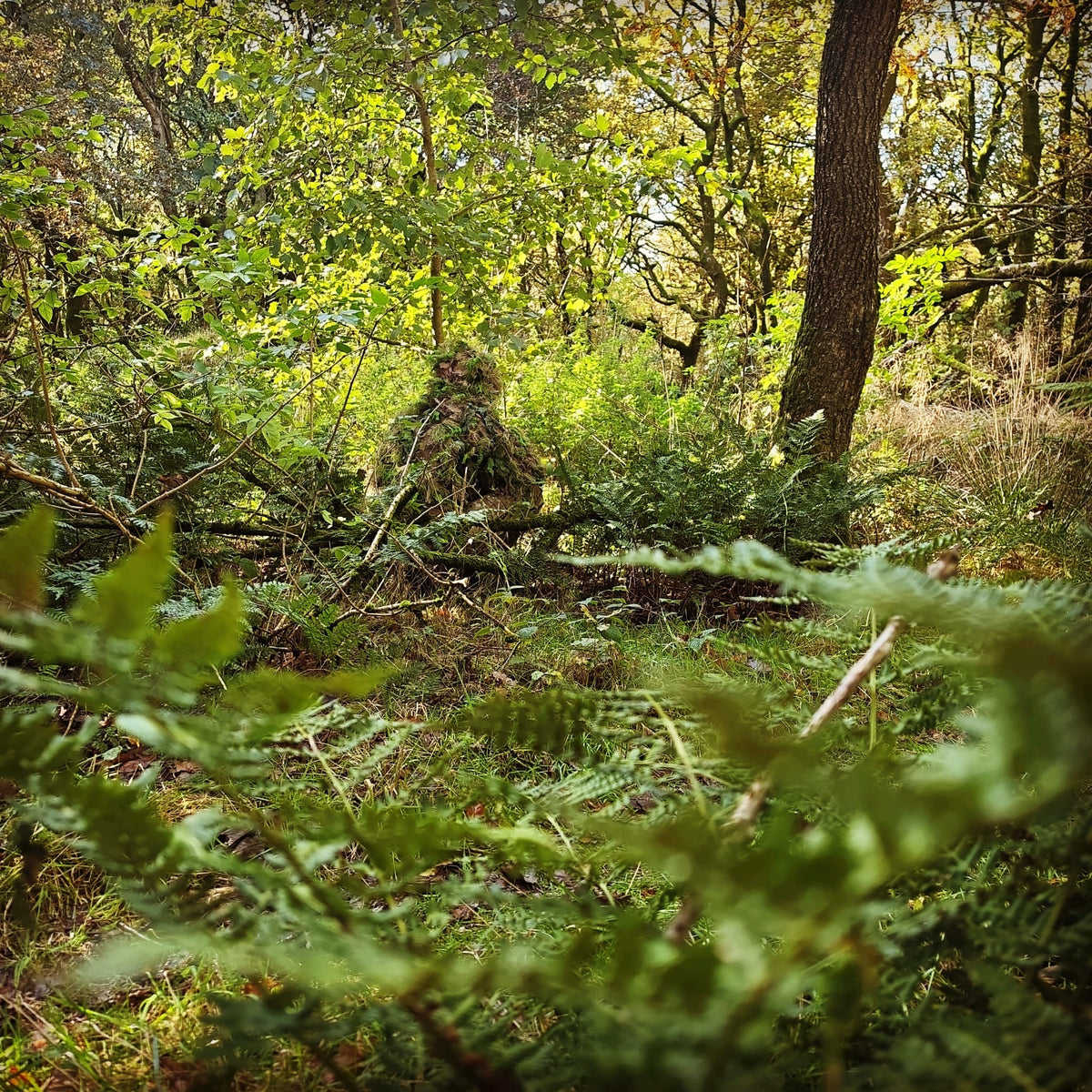 Deadground Revenant S/S | Full-Length Hybrid Ghillie Cape - Longshot Tactical
