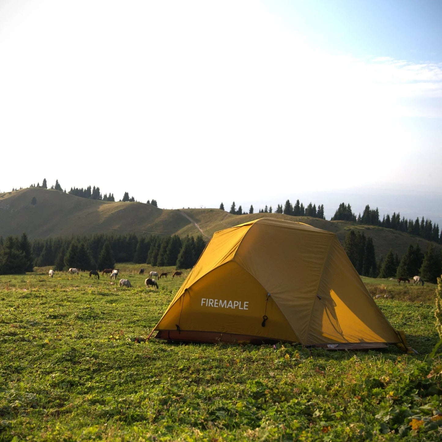 FireMaple Tropics 2 Person Backpacking Tent With Footprint - Longshot Tactical