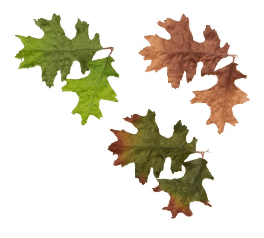 Novritch Leaf Camo – LC4 - Longshot Tactical