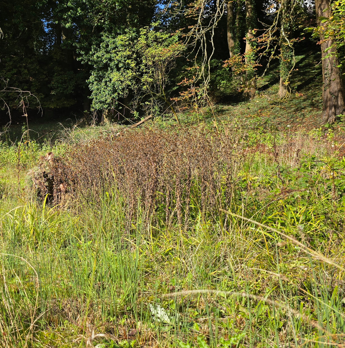 Deadground Reaper ASCS -  Mid-Length Adaptive Ghillie System