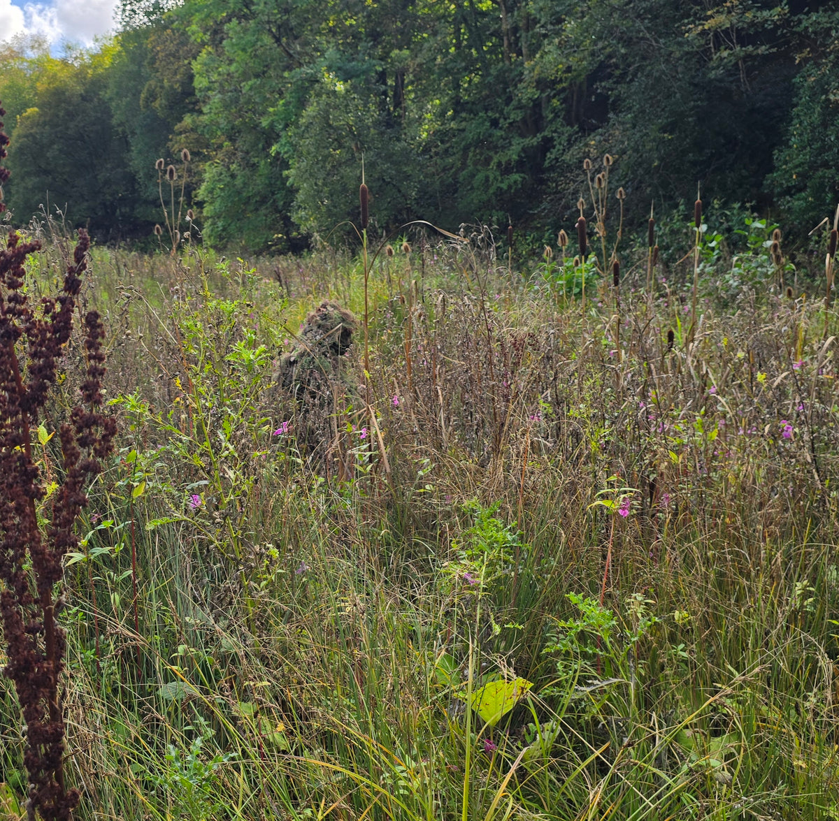 Deadground Reaper ASCS -  Mid-Length Adaptive Ghillie System