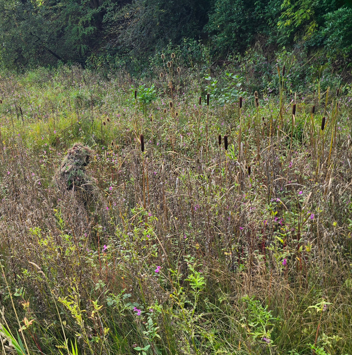 Deadground Reaper ASCS -  Mid-Length Adaptive Ghillie System