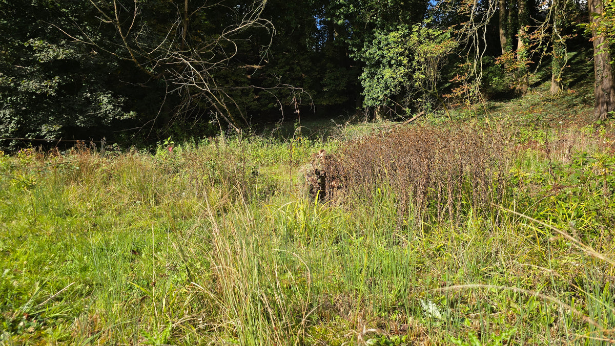 Deadground Reaper ASCS -  Mid-Length Adaptive Ghillie System